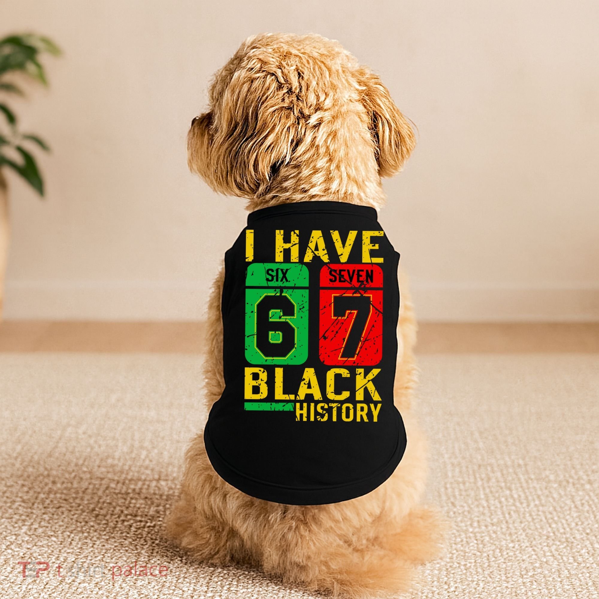 African American Pride I Have 67 Black History 6-7 Meme Doggie Tank
