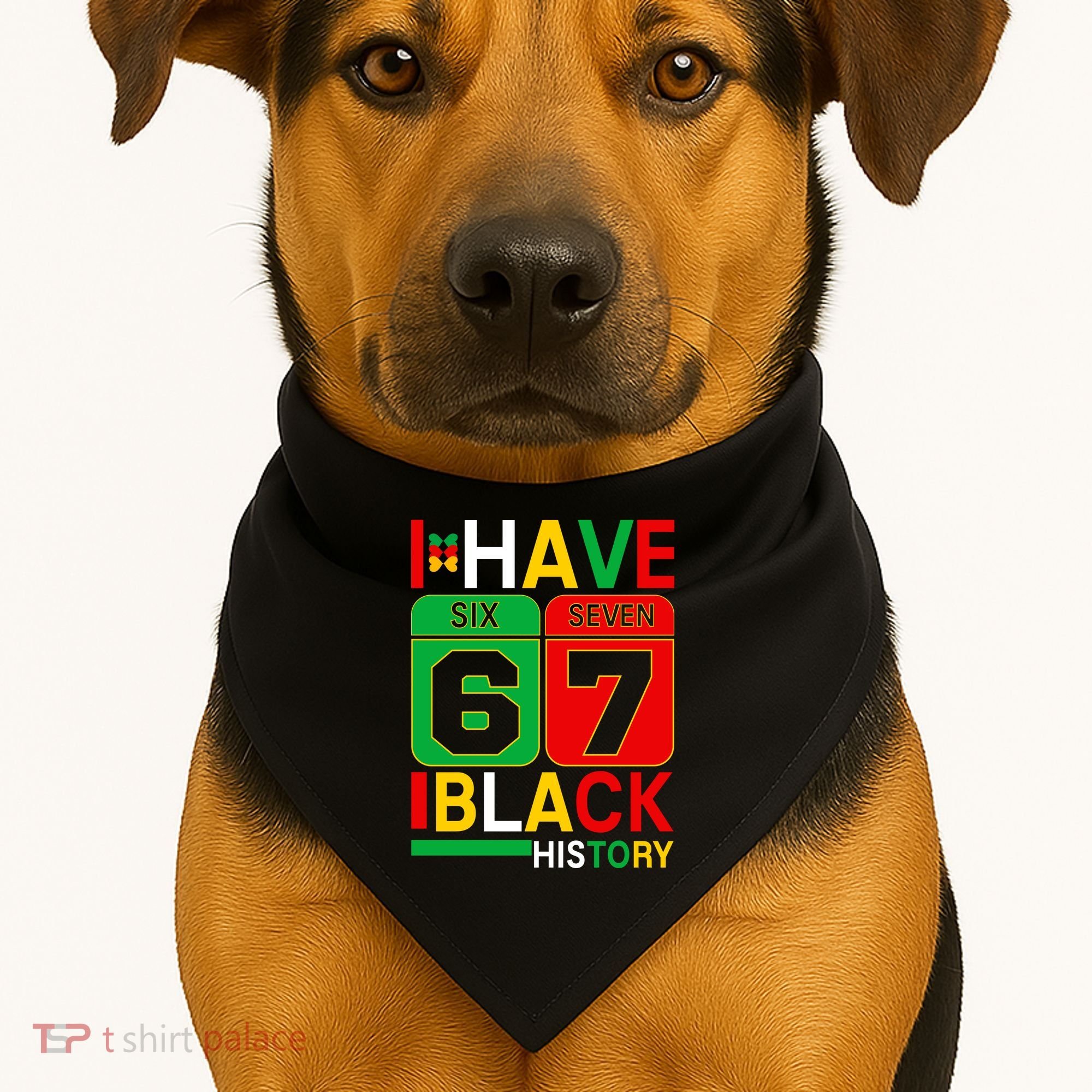 African American Pride I Have 67 Black History Six Seven USA-Made Doggie Bandana