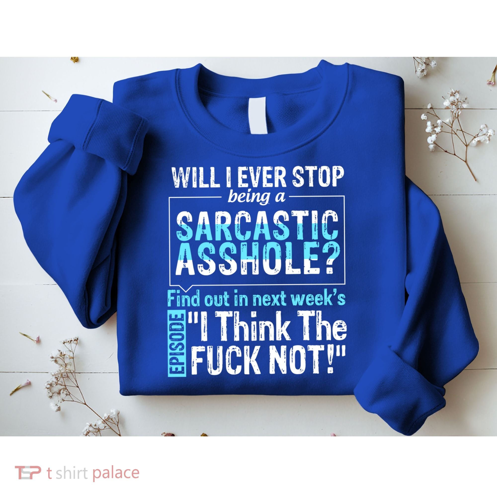 Asshole Assholes Potty Mouth Vulgar Profanity Fun Gag Gift Sweatshirt