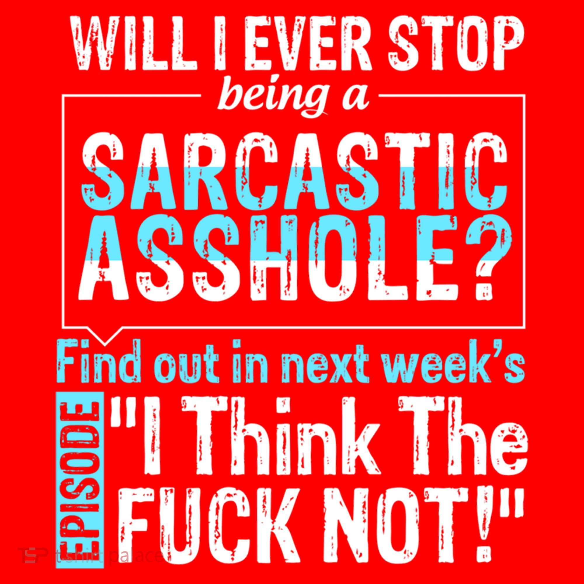 Asshole Assholes Potty Mouth Vulgar Profanity Fun Gag Gift Santa Hat