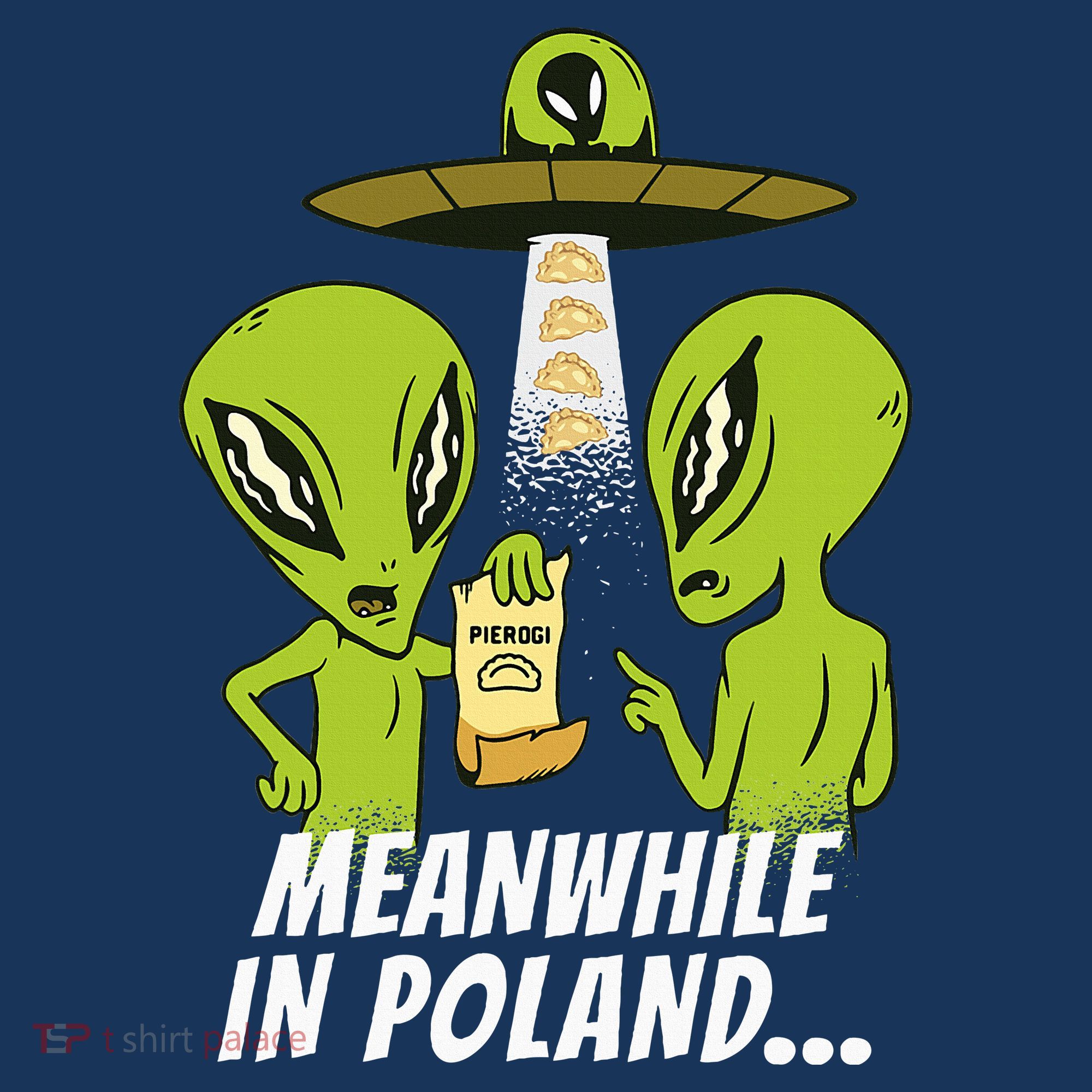 Alien Abduction Pierogi Polish Food Poland Polonia Hat