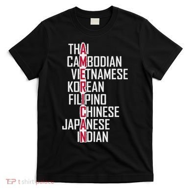 Asian American Pride Stop Asian Hate Distressed T-Shirt