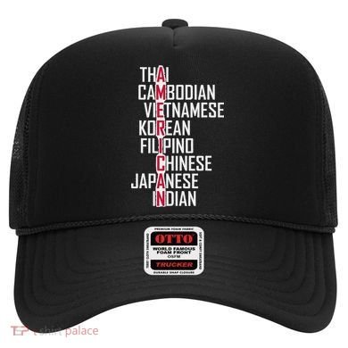 Asian American Pride Stop Asian Hate Distressed Hat