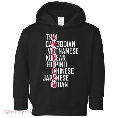 Asian American Pride Stop Asian Hate Distressed Toddler Hoodie