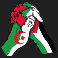 Algeria And Palestine Hands Women's Sweatshirt thumb 2