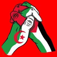 Algeria And Palestine Hands Santa Hat thumb 1