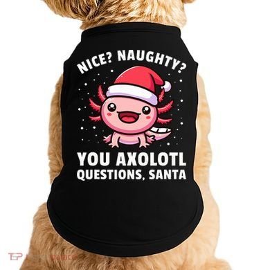 Axolotl  Axolotl Questions Christmas  Doggie Tank