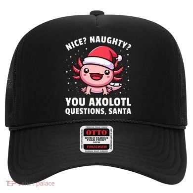 Axolotl  Axolotl Questions Christmas  Hat