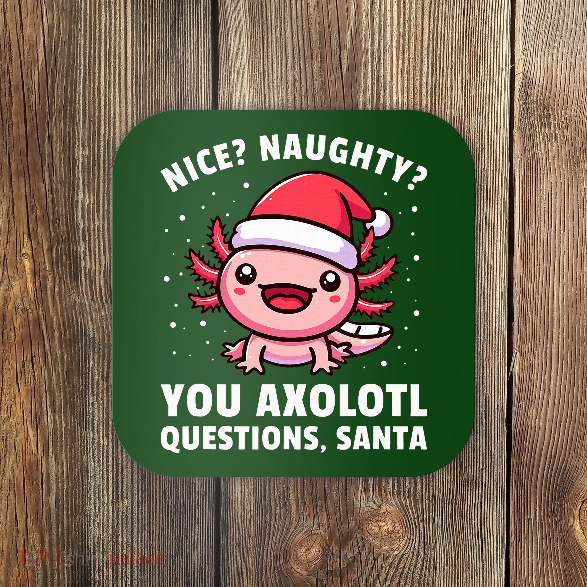 Axolotl  Axolotl Questions Christmas  Coaster