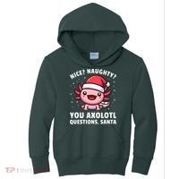 Axolotl  Axolotl Questions Christmas  Kids Hoodie thumb 0