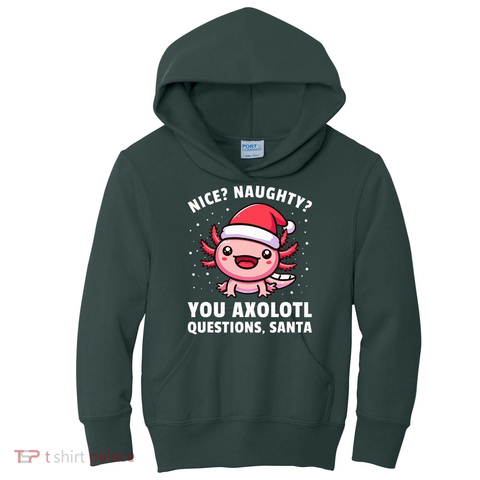 Axolotl  Axolotl Questions Christmas  Kids Hoodie