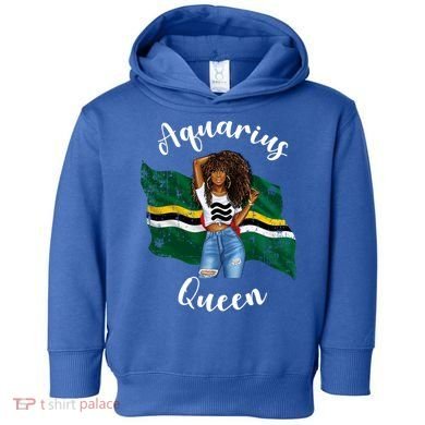 Afro Aquarius Queen From Dominica Zodiac Birthday Gift Toddler Hoodie