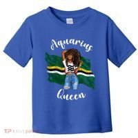 Afro Aquarius Queen From Dominica Zodiac Birthday Gift Toddler T-Shirt thumb 0