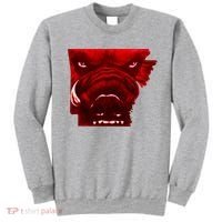 Arkansas Sweatshirt thumb 0