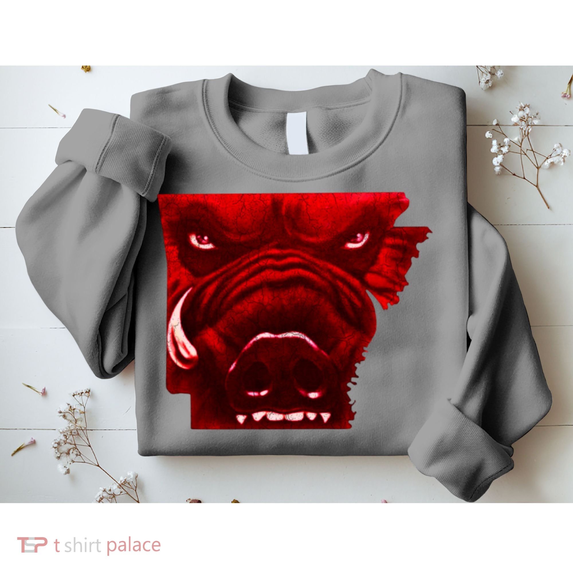 Arkansas Sweatshirt