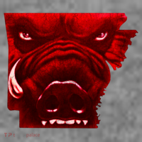 Arkansas Polo thumb 2