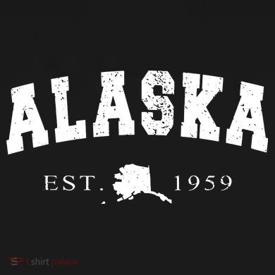Alaskas Ak Retro Vintage Impact Tech Backpack