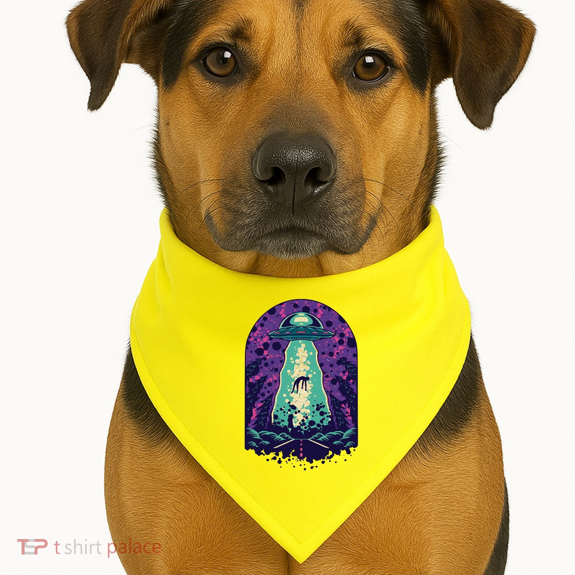 Alien Abduction Space USA-Made Doggie Bandana