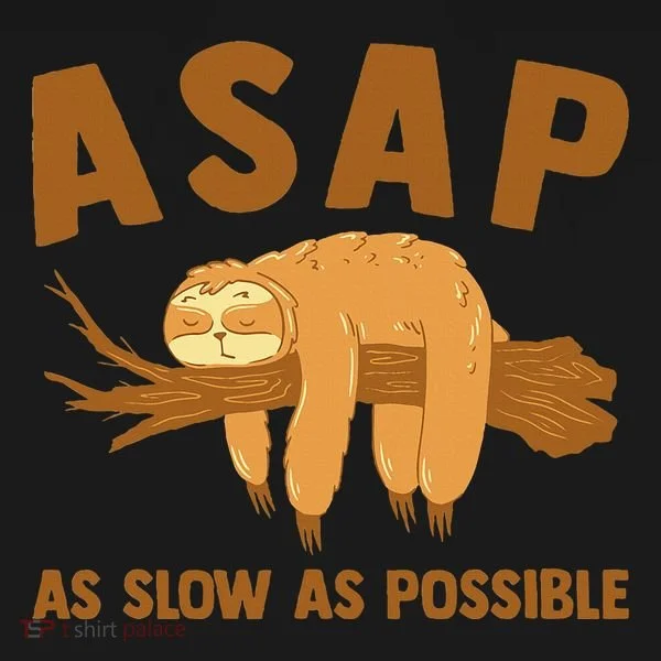 Asap As Slow As Possible Sloth Lover Toddler Hoodie