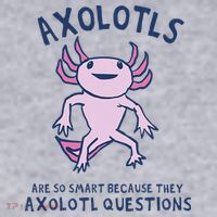 Axolotls Are So Smart Because They Axolotl Questions Women's Sweatshirt thumb 2