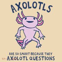 Axolotls Are So Smart Because They Axolotl Questions Tote Bag thumb 4