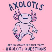 Axolotls Are So Smart Because They Axolotl Questions Coaster thumb 2