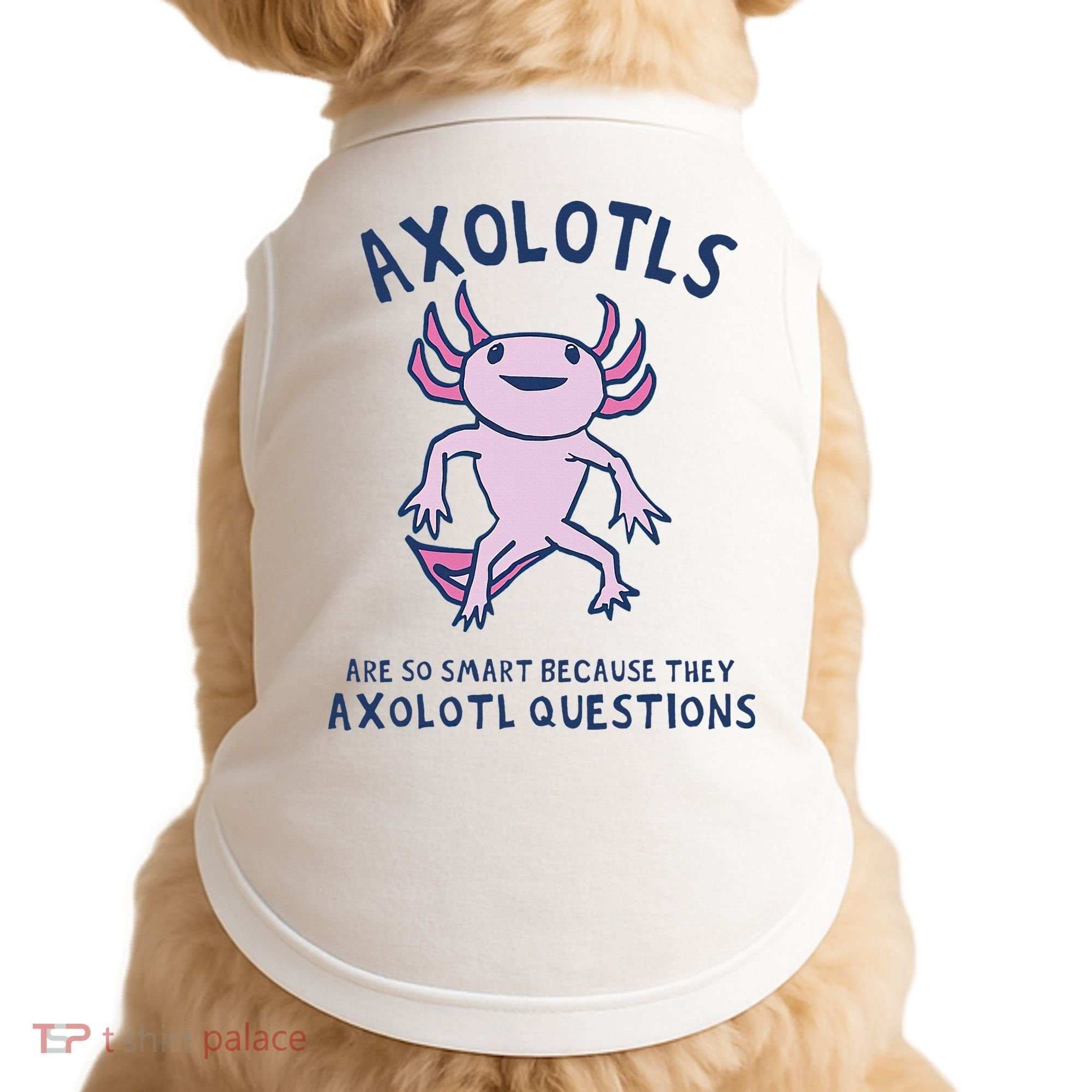Axolotls Are So Smart Because They Axolotl Questions Doggie Tank