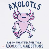 Axolotls Are So Smart Because They Axolotl Questions Sweatshirt thumb 3