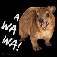 Awawa! Angry Screaming Hyrax Bucket Hat thumb 4