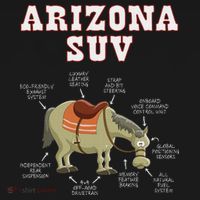 Arizona Az Suv Funny Joke Horse Mule Souvenir Gift Sweatshirt thumb 3