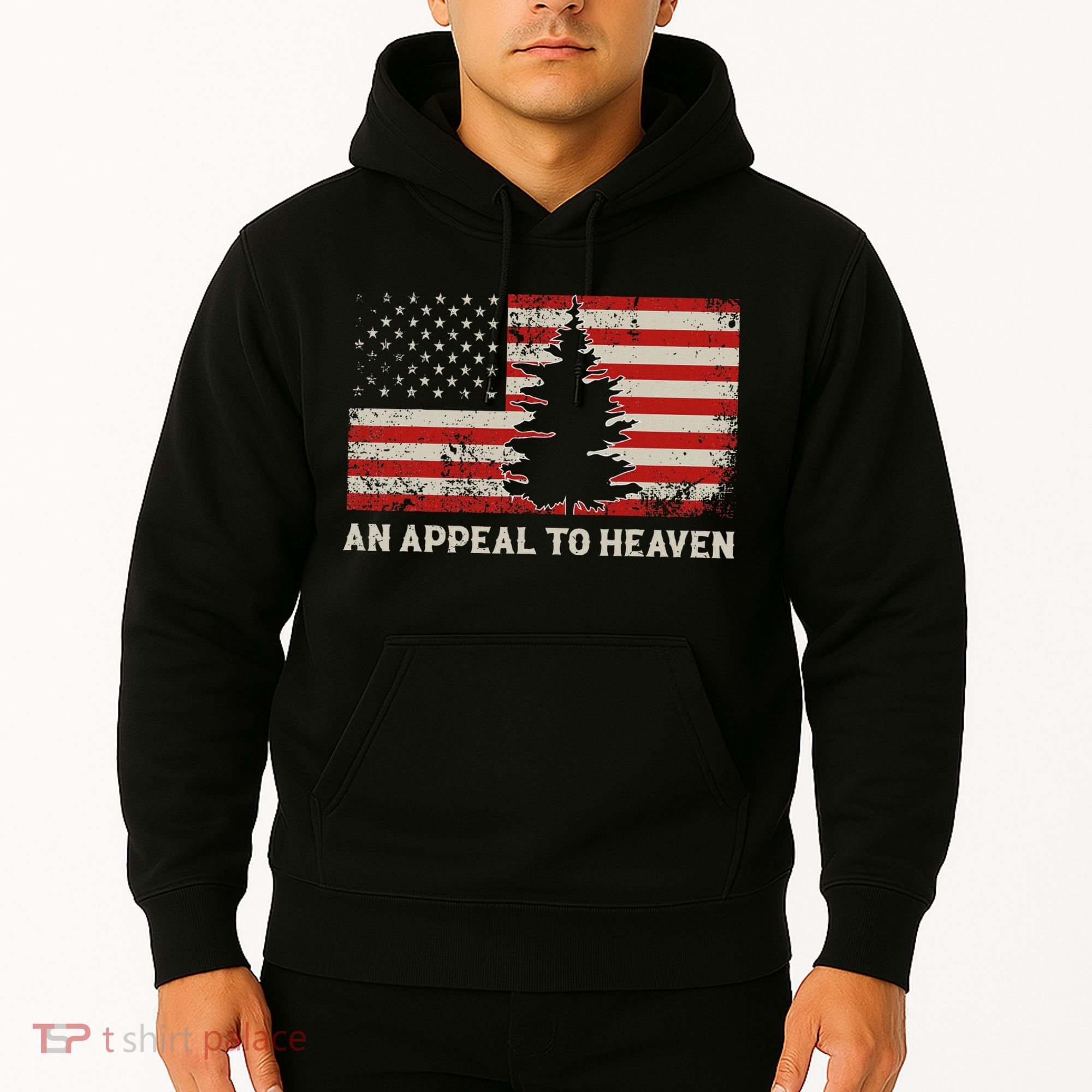 An Appeal To Heaven Pine Tree Usa Revolution American Flag Hoodie