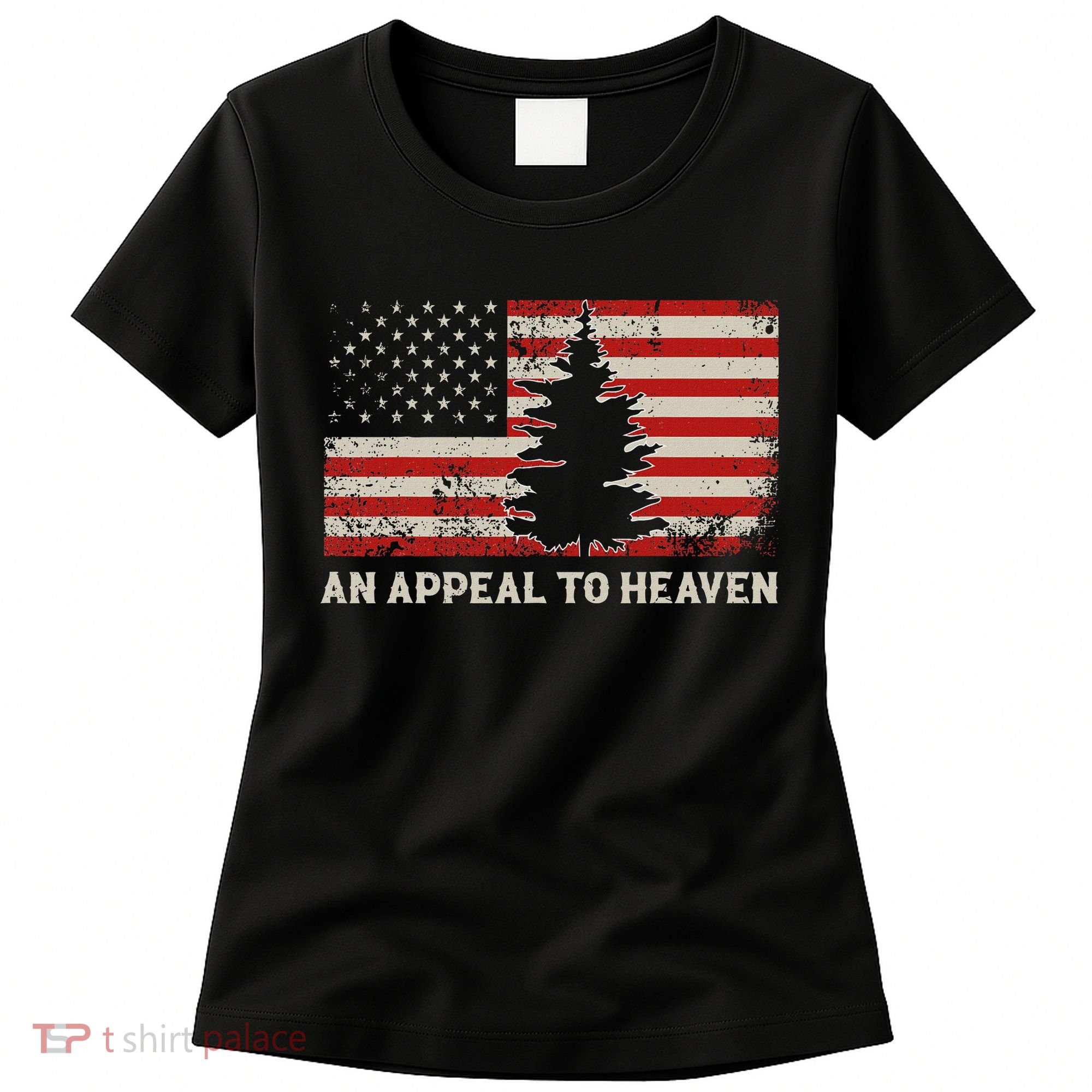 An Appeal To Heaven Pine Tree Usa Revolution American Flag Women's T-Shirt