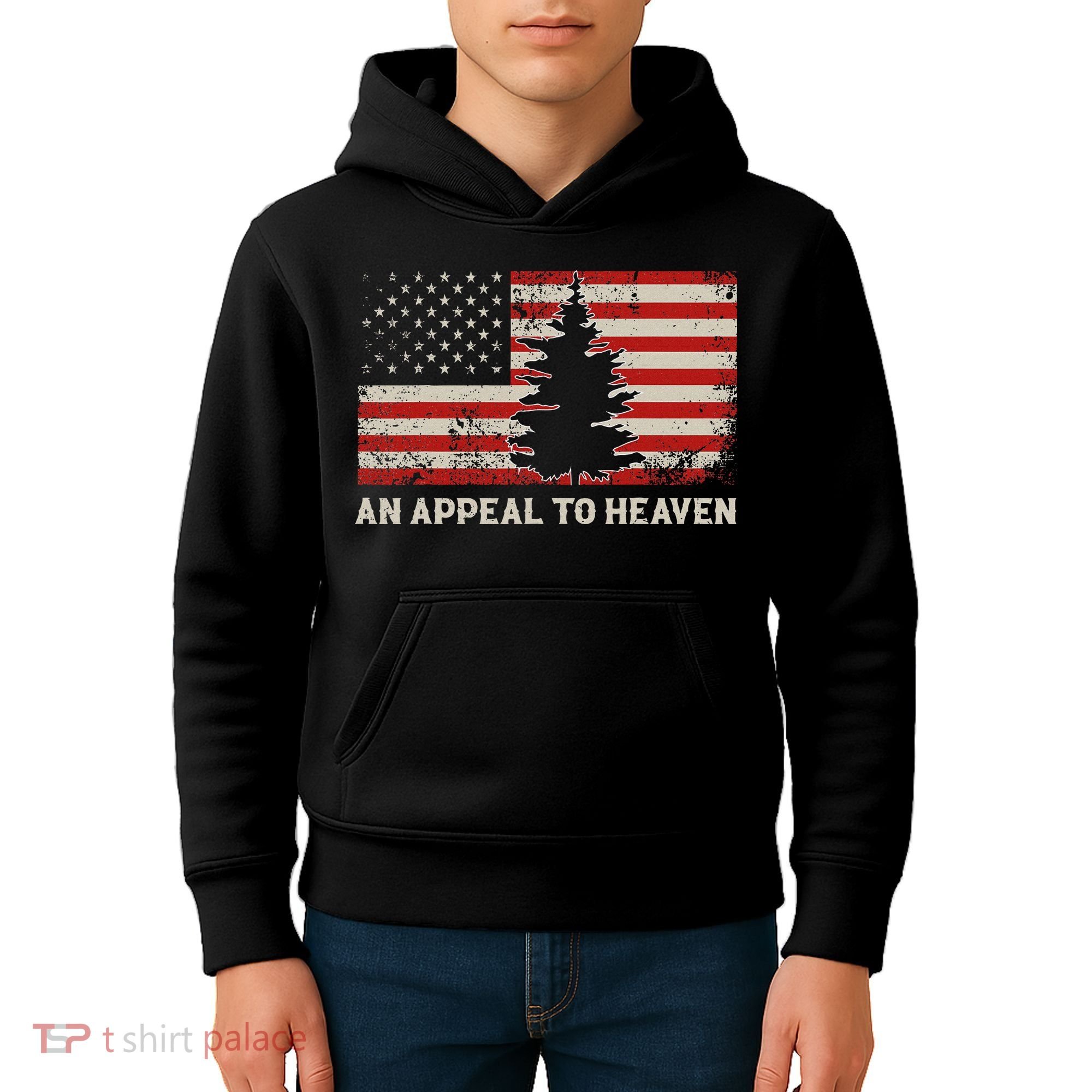 An Appeal To Heaven Pine Tree Usa Revolution American Flag Kids Hoodie
