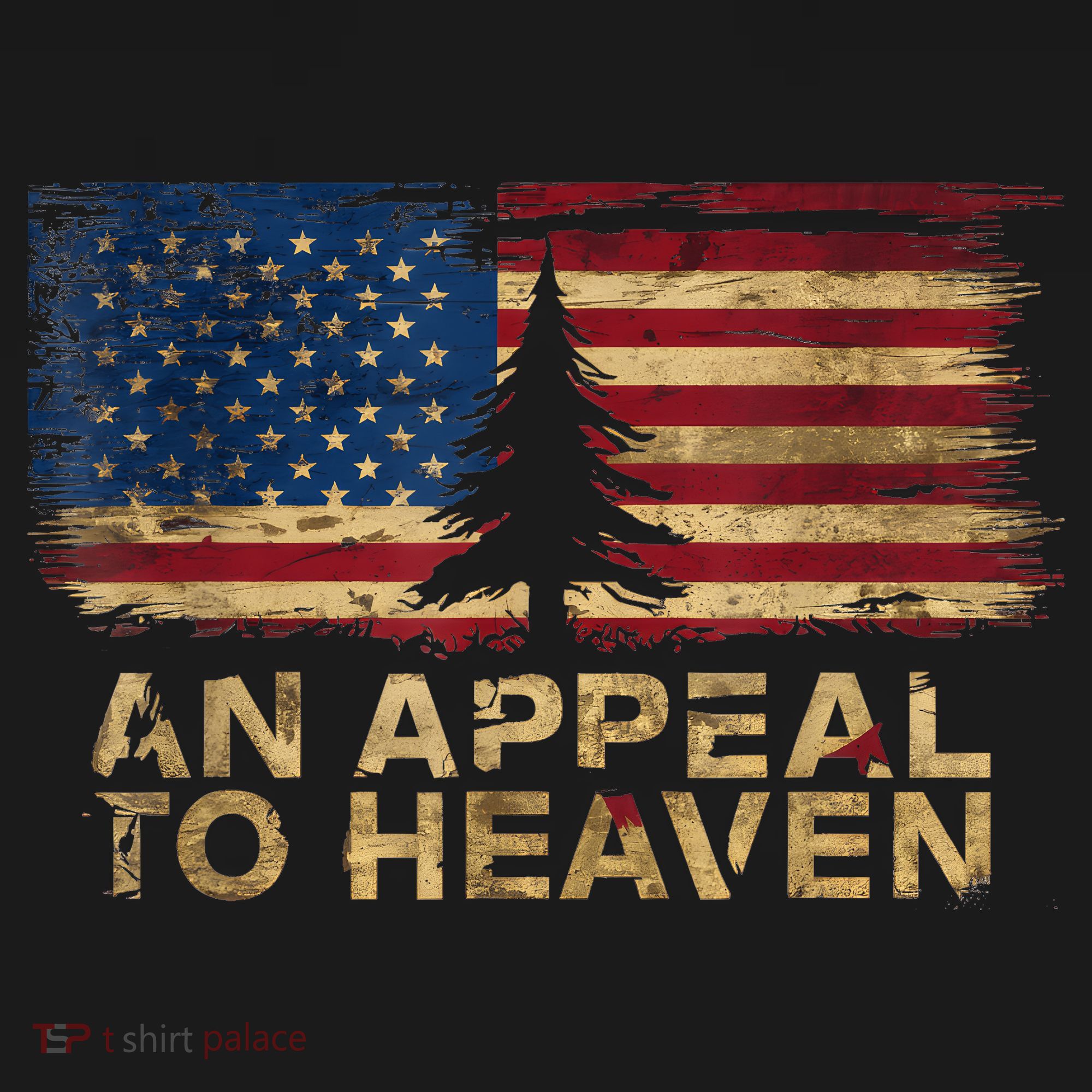 An Appeal To Heaven Patriotic And Inspirational Women's Hoodie