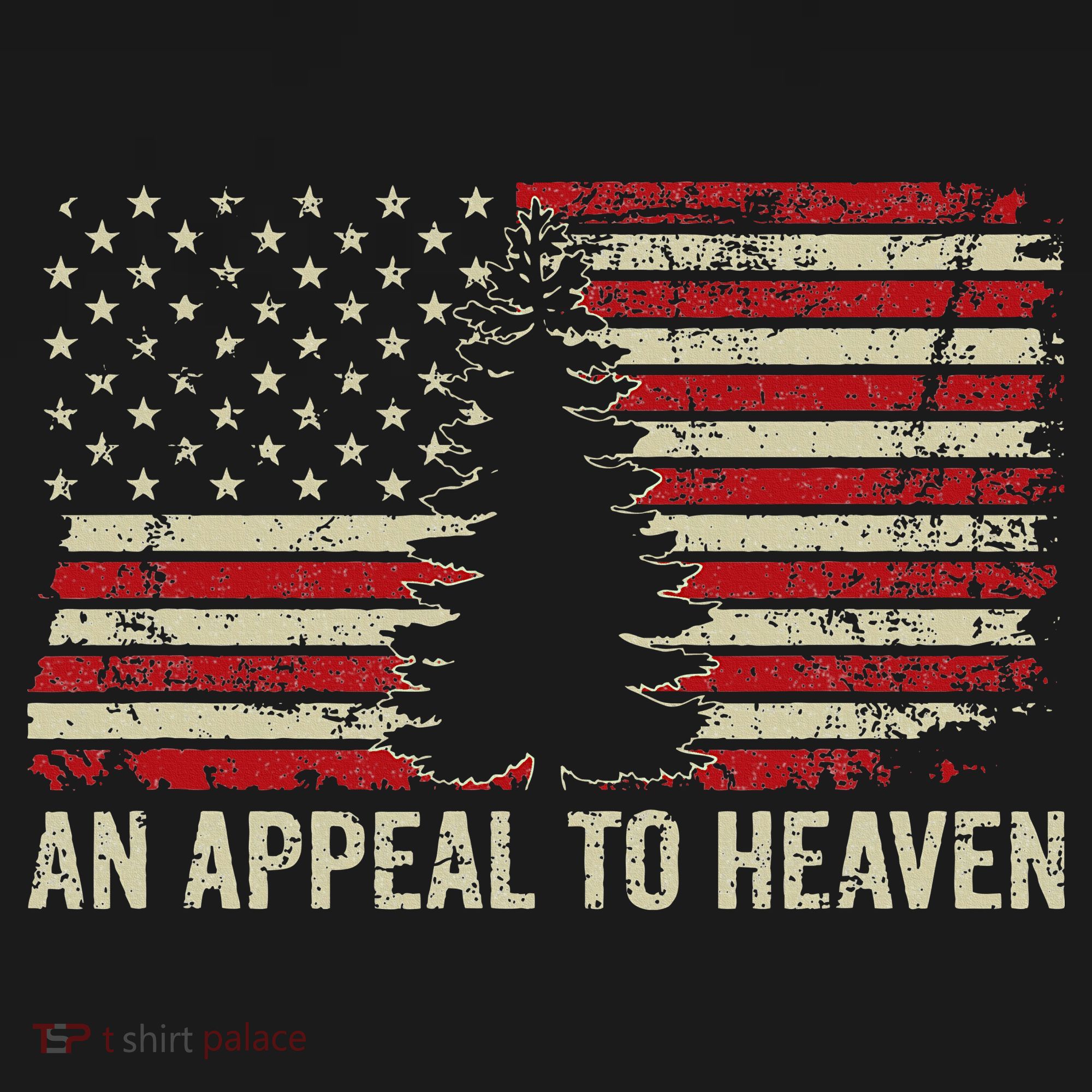 An Appeal To Heaven Usa Revolution Pine Tree American Flag Hoodie
