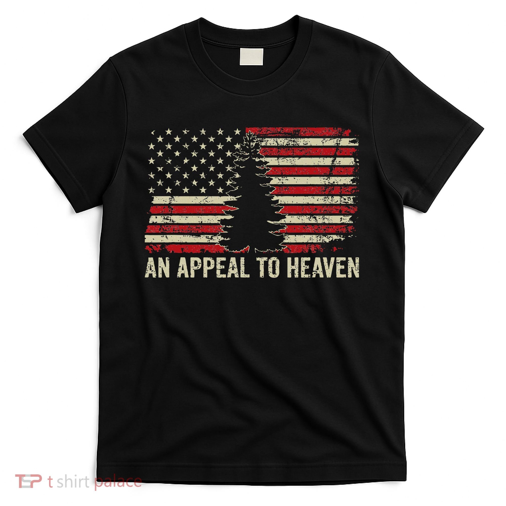 An Appeal To Heaven Usa Revolution Pine Tree American Flag T-Shirt