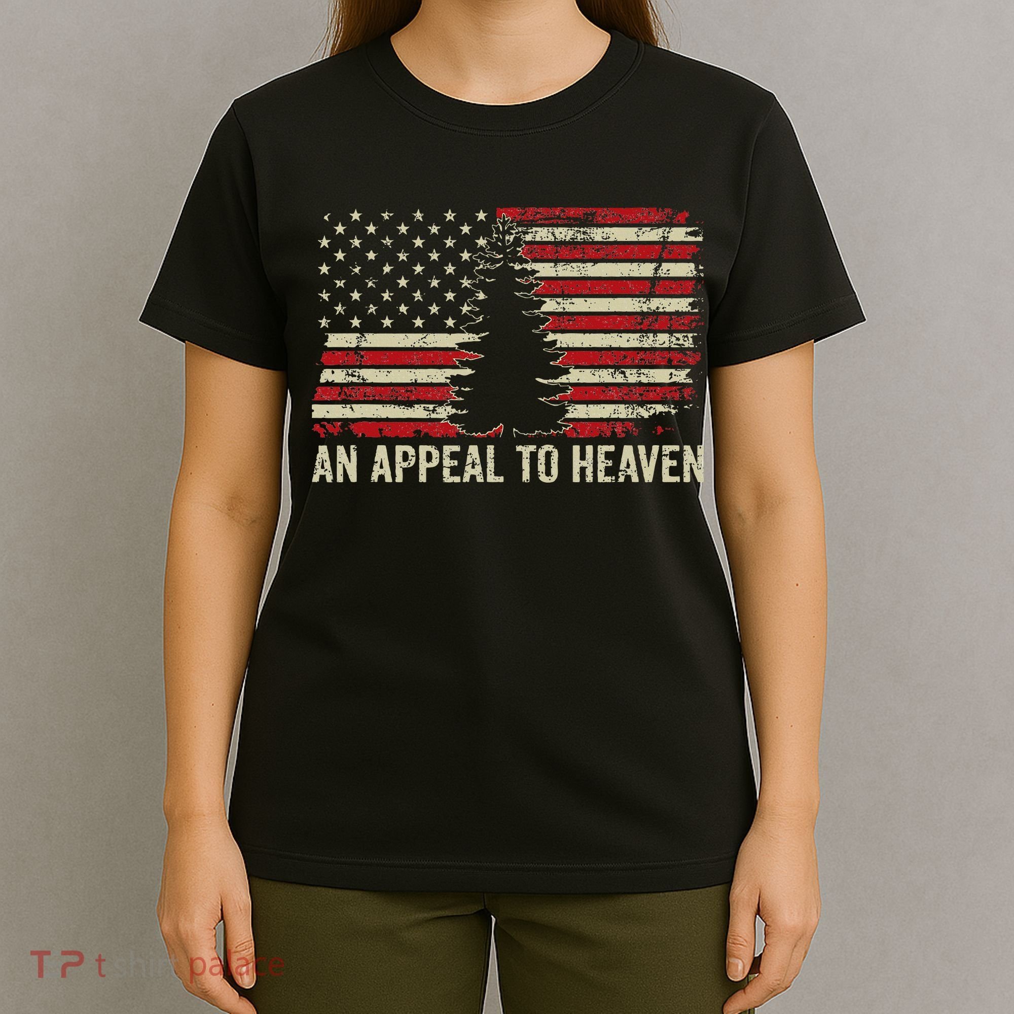 An Appeal To Heaven Usa Revolution Pine Tree American Flag T-Shirt