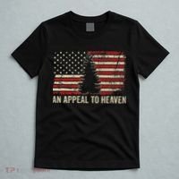 An Appeal To Heaven Usa Revolution Pine Tree American Flag T-Shirt thumb 5