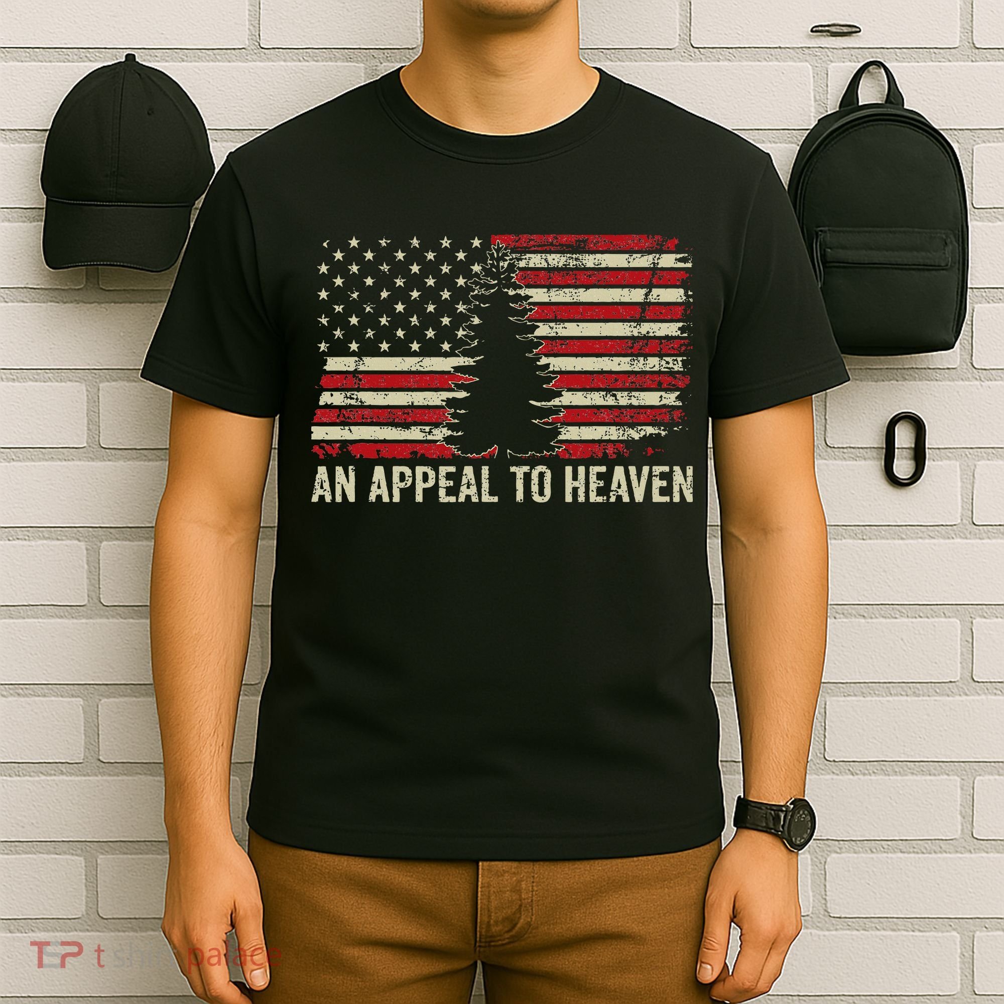 An Appeal To Heaven Usa Revolution Pine Tree American Flag T-Shirt