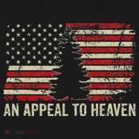 An Appeal To Heaven Usa Revolution Pine Tree American Flag Women's Tank Top thumb 5