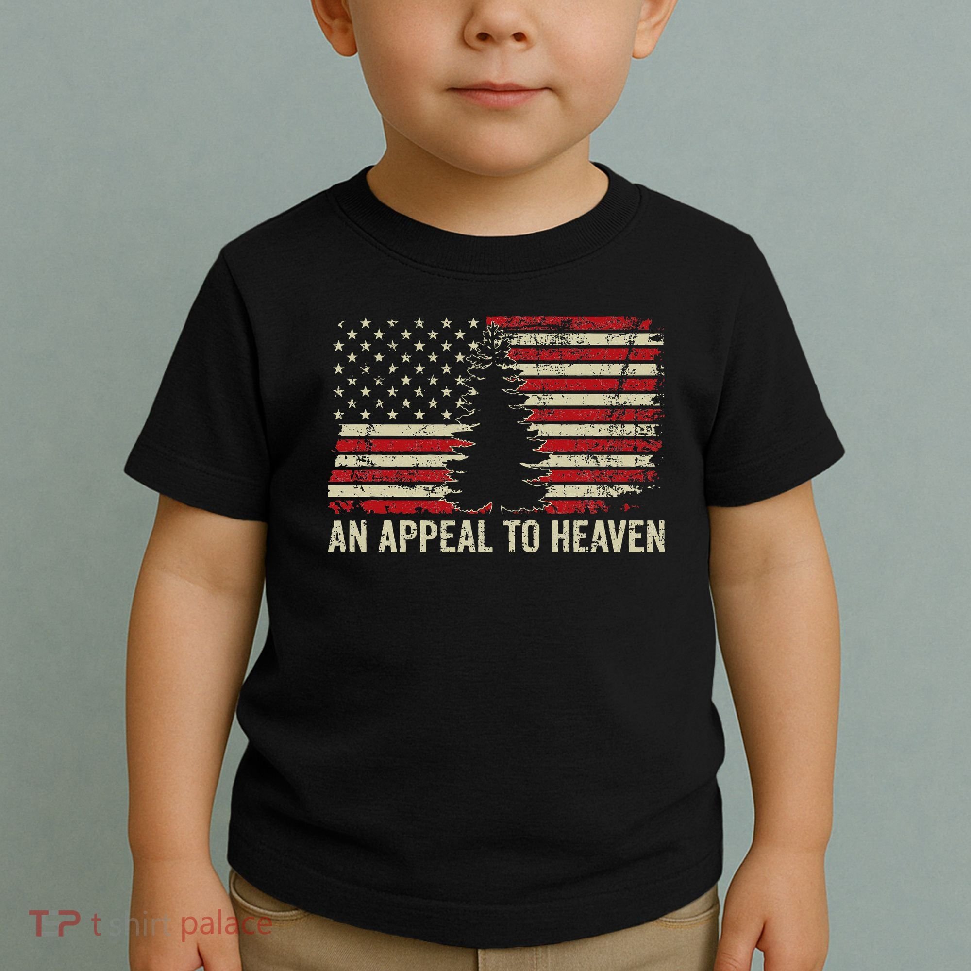 An Appeal To Heaven Usa Revolution Pine Tree American Flag Toddler T-Shirt