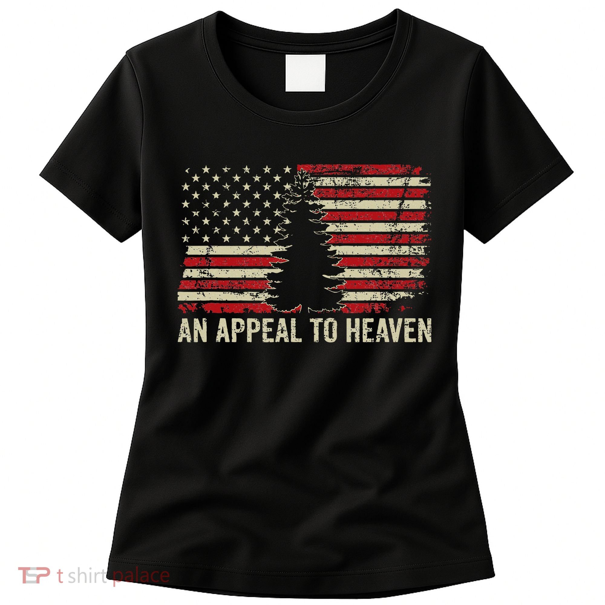 An Appeal To Heaven Usa Revolution Pine Tree American Flag Women's T-Shirt