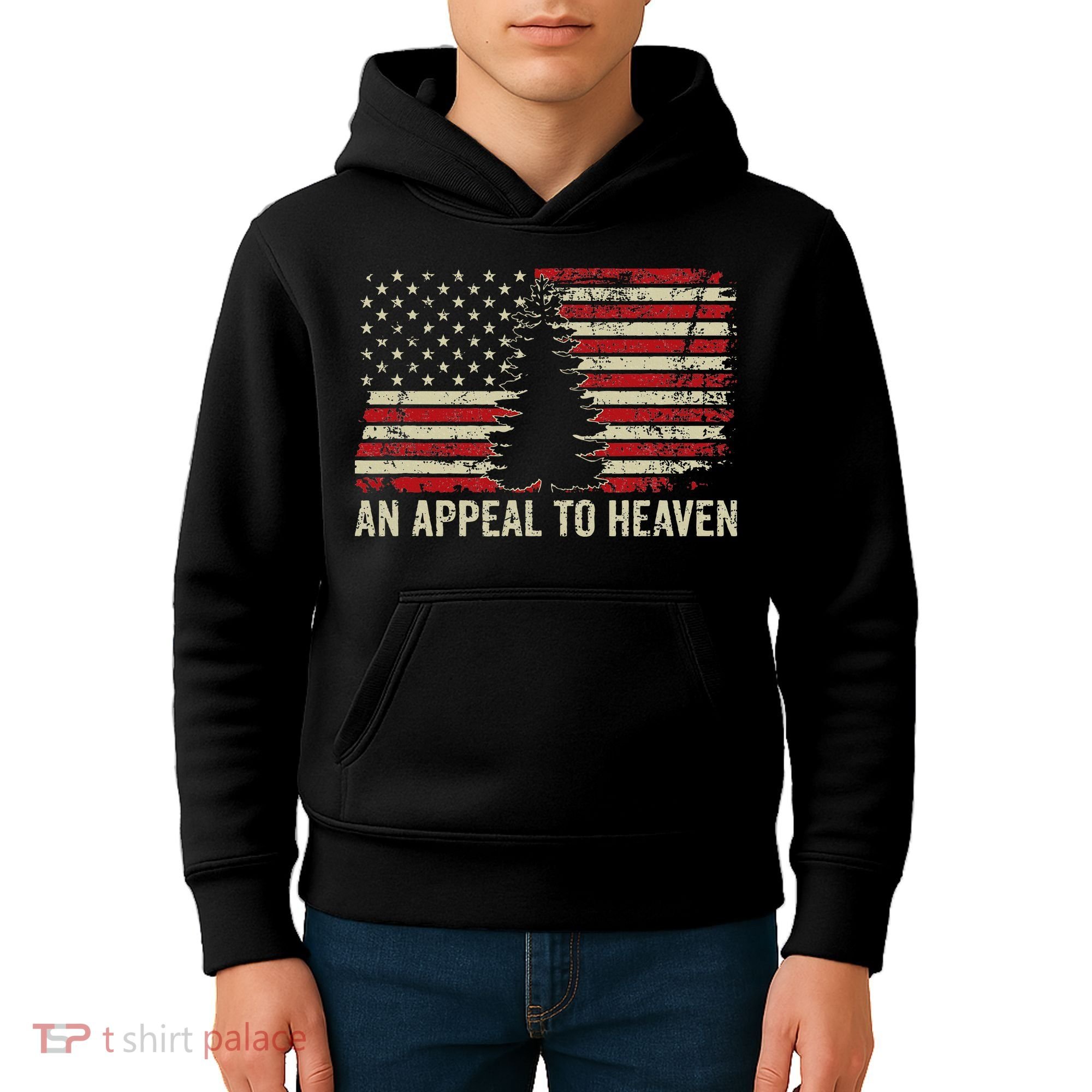 An Appeal To Heaven Usa Revolution Pine Tree American Flag Kids Hoodie