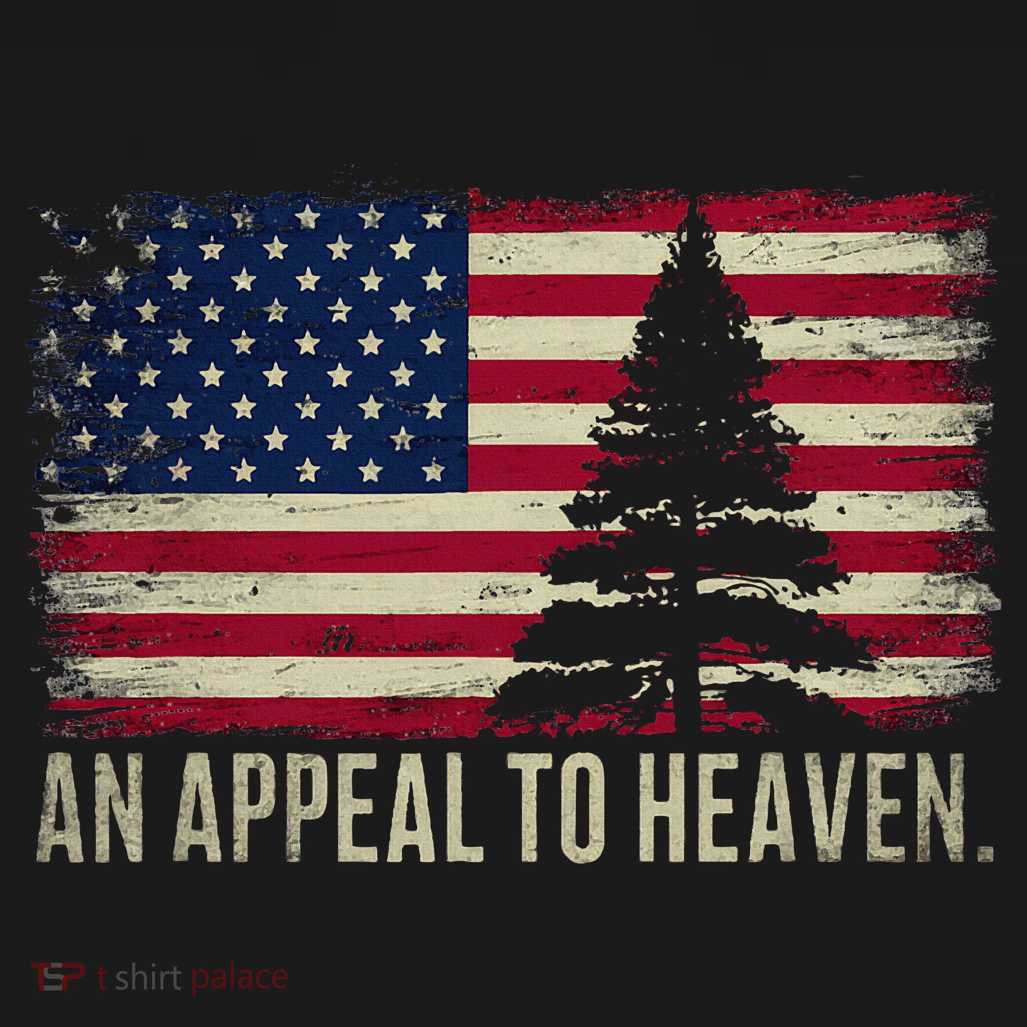 An Appeal To Heaven Patriotic And Inspirational Women's Tank Top
