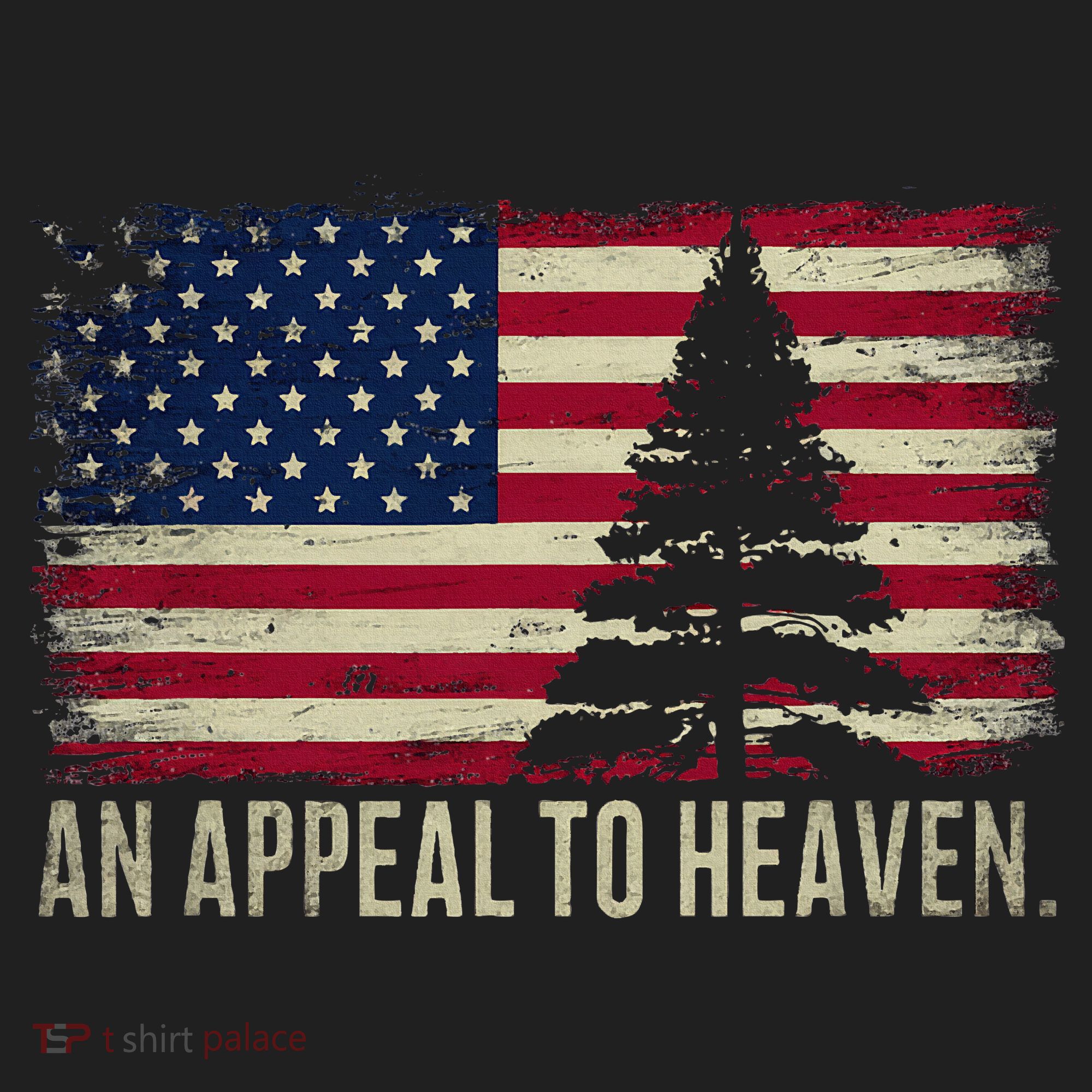 An Appeal To Heaven Patriotic And Inspirational Hat