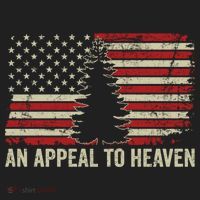 An Appeal To Heaven Gift Usa Revolution Pine Tree American Flag Gift Beanie thumb 2