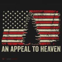 An Appeal To Heaven Gift Usa Revolution Pine Tree American Flag Gift Women's Hoodie thumb 2
