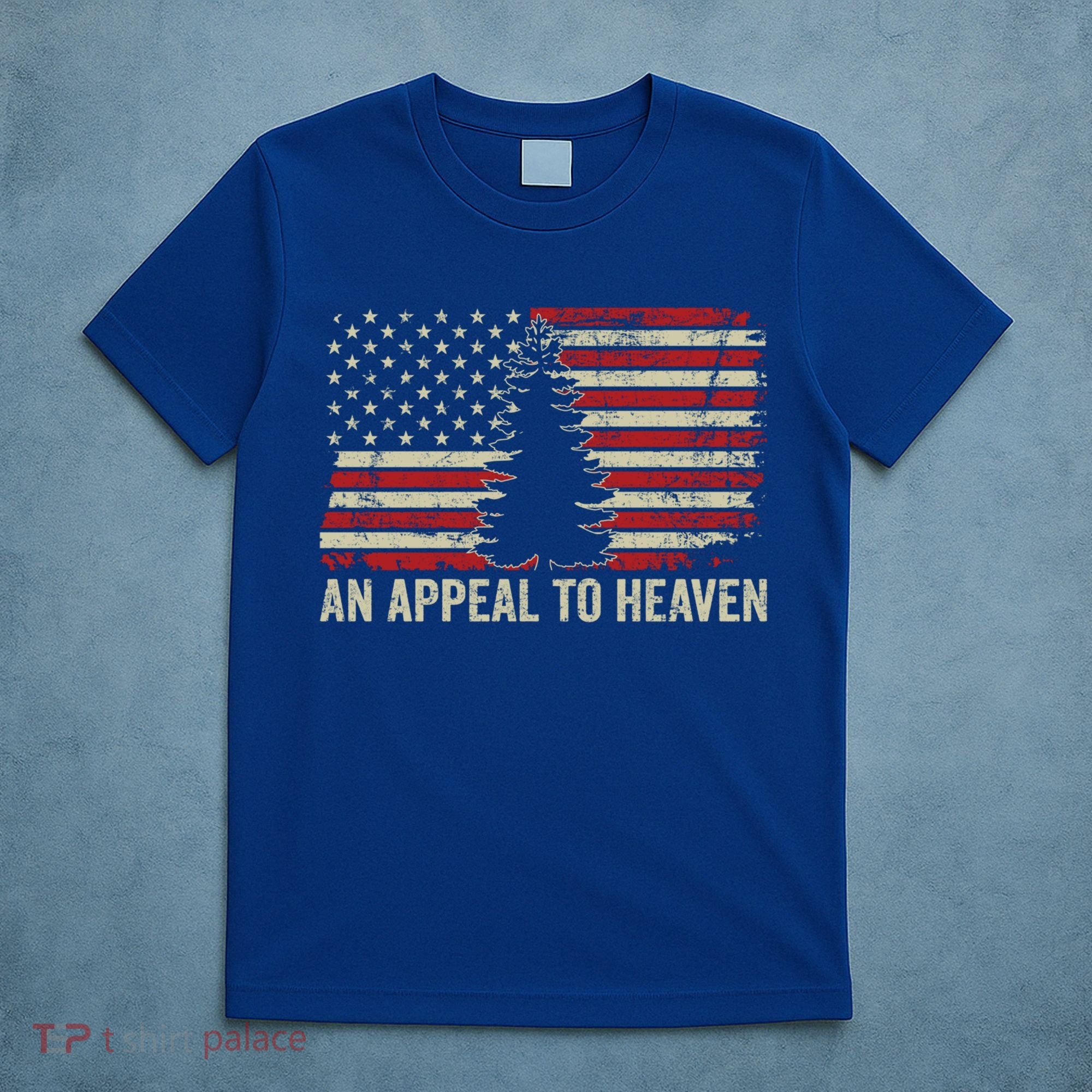 An Appeal To Heaven Gift Usa Revolution Pine Tree American Flag Gift T-Shirt
