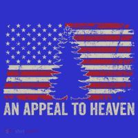 An Appeal To Heaven Gift Usa Revolution Pine Tree American Flag Gift Baby Bodysuit thumb 2