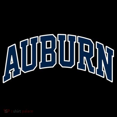 Auburn Kids Colorblock Raglan Jersey